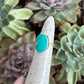 Kingman Gold Turquoise Ring in size 4.5