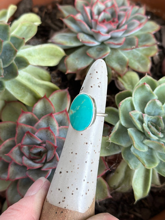 Kingman Gold Turquoise Ring in size 4.5