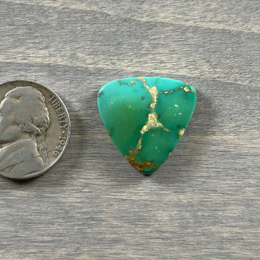 Hardy Pit Turquoise Cabochon 69