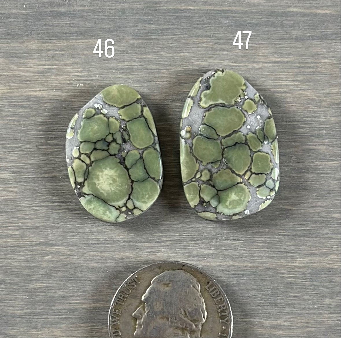 Desert Bloom Variscite Cabochon 46, 47