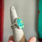 Turquoise Mountain Turquoise Ring in size 7.5