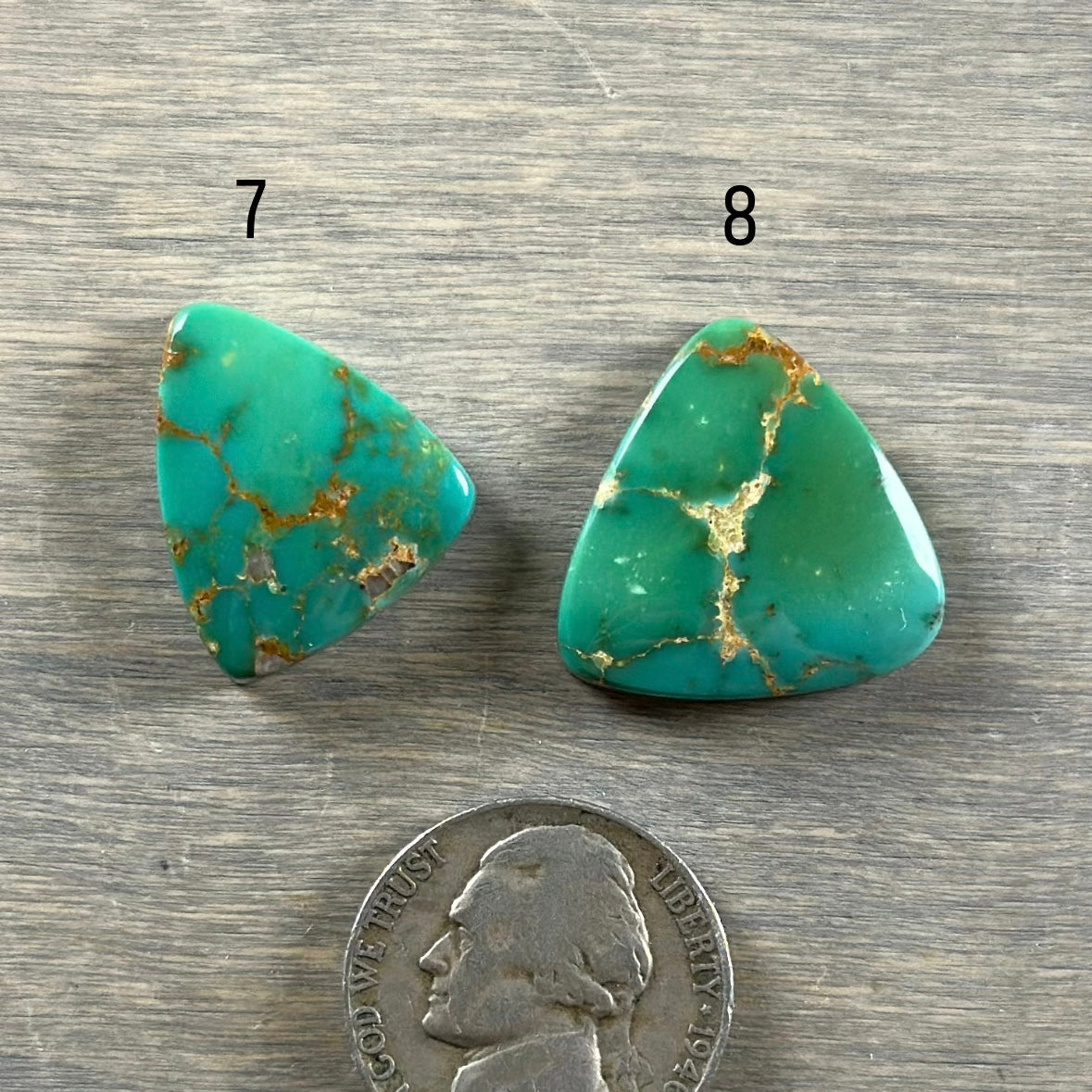 Hardy Pit Turquoise Cabochon 37