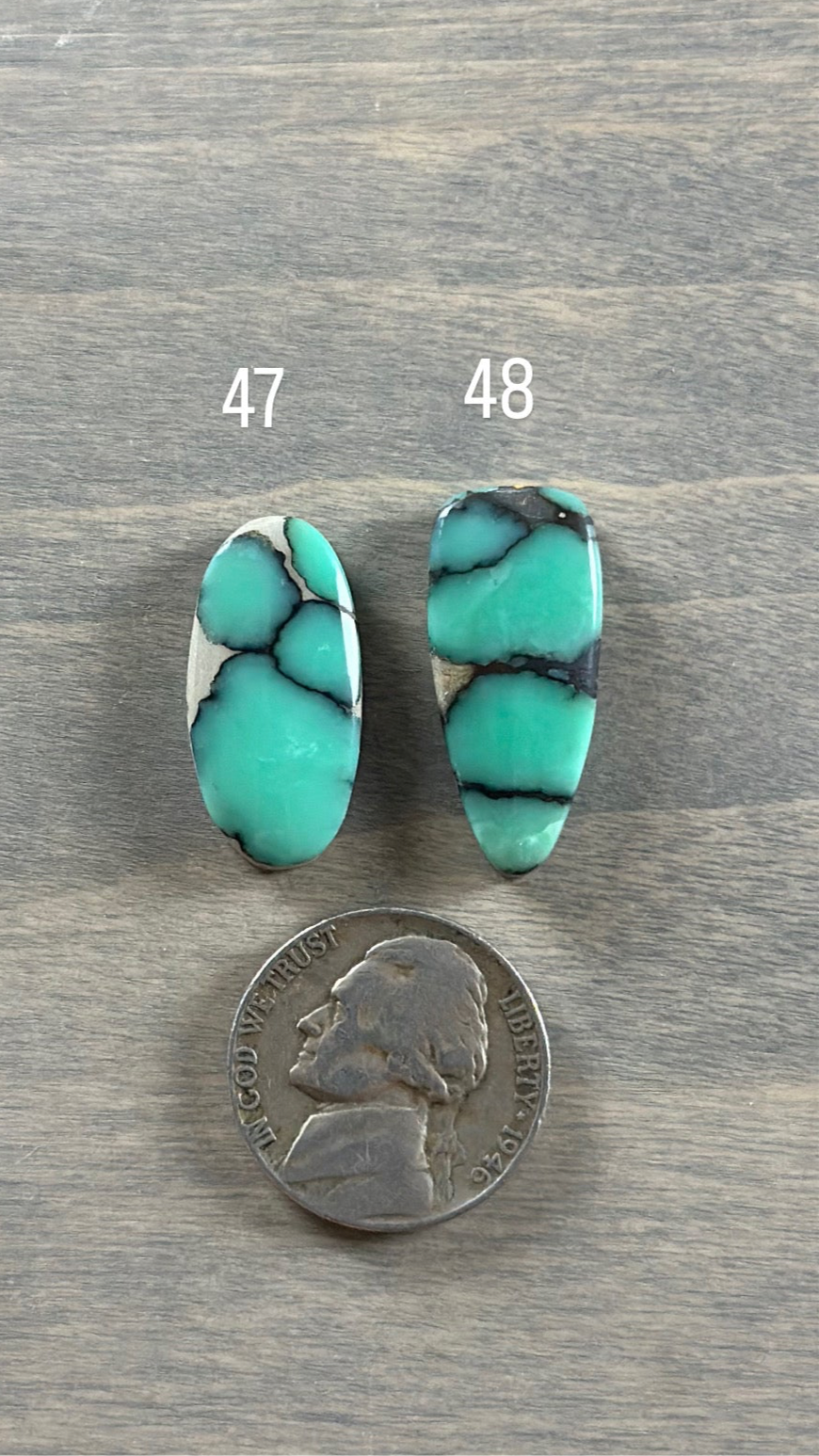 Desert Bloom Variscite Cabochon 48