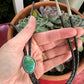 Hardy Pit Turquoise Bolo Tie in Dark Brown