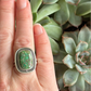 Catalina Turquoise Shadowbox Ring in size 7.5