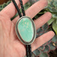 Royston Turquoise Bolo Tie in Black