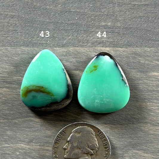 Desert Bloom Variscite Cabochon 43, 44