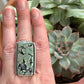Nautilus Variscite Olive Art Deco Ring in size 9.5
