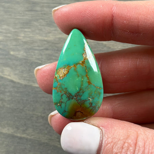 Hardy Pit Turquoise Cabochon 71