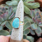 Royston Turquoise Ring in size 7.25