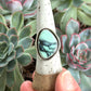 New Lander Variscite Ring in size 9