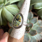 Nautilus Variscite Ring size 8.5