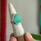 Kingman Gold Turquoise Ring in size 7