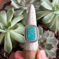 Catalina Turquoise Shadowbox Ring in size 9