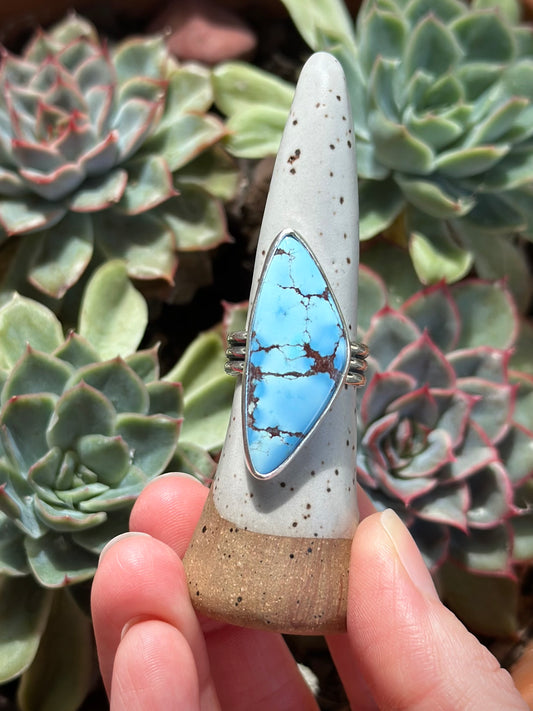 Golden Hills Turquoise Ring size 9