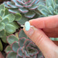 Emerald Basin Variscite Stacker Ring in size 5