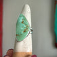 Fox Turquoise Ring size 10.75