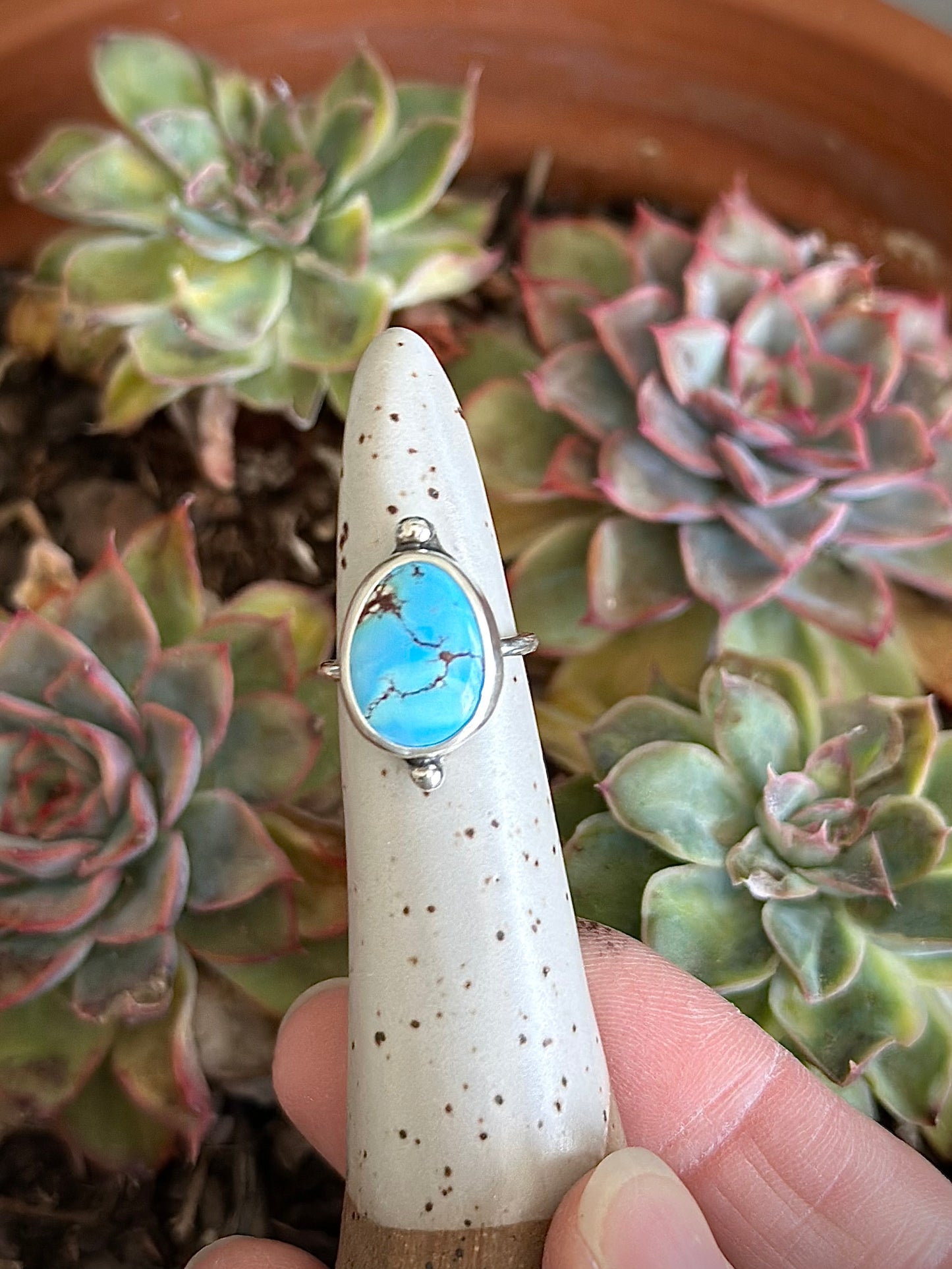 Golden Hills Turquoise Ring in size 4-3/4