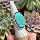 Sierra Bella Turquoise Chunky Twist Ring in size 7 to 7.25