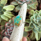 Sierra Bella Turquoise Ring in size 6