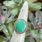 Hardy Pit Turquoise Ring in size 7.75