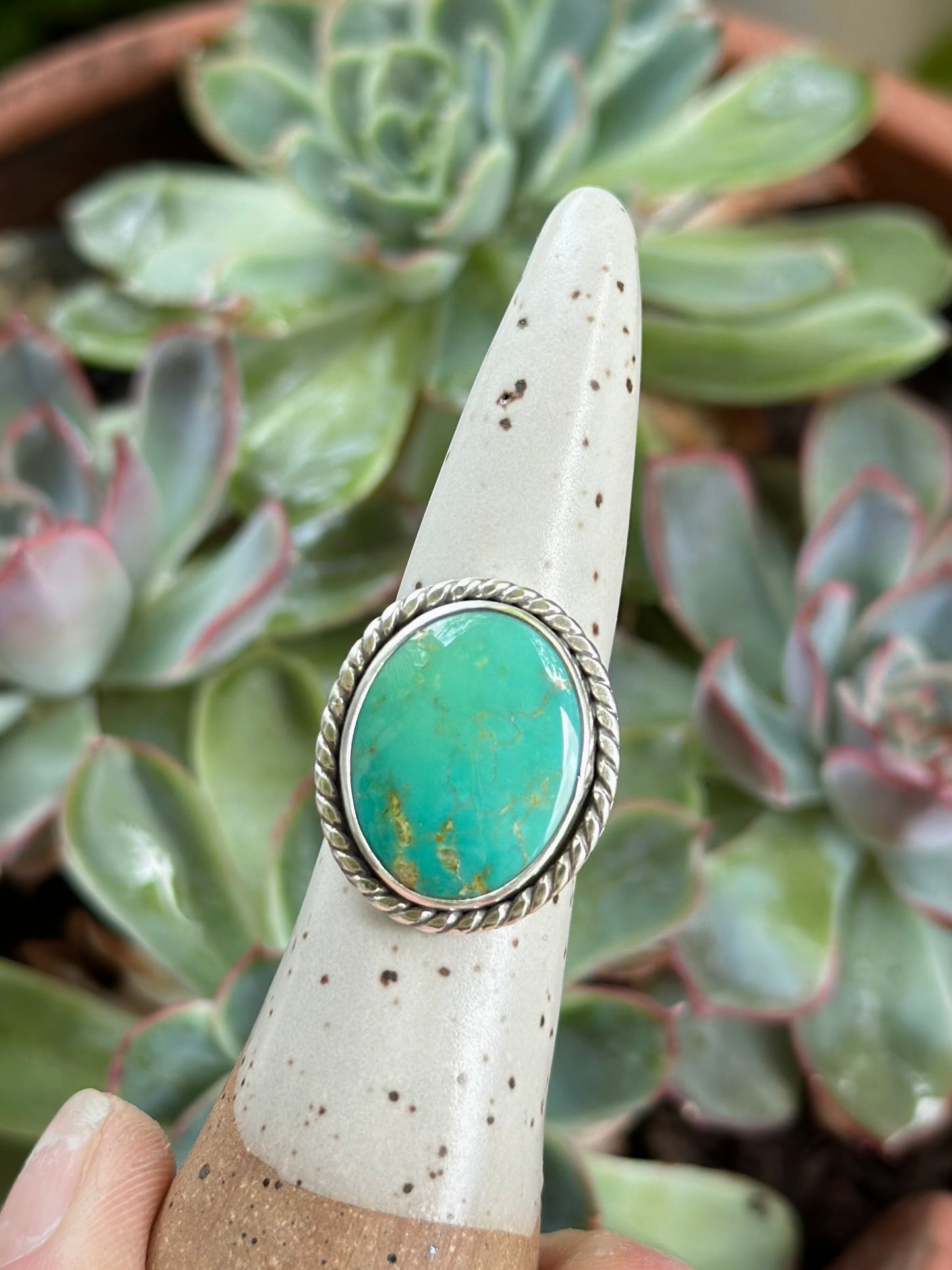 Hardy Pit Turquoise Ring in size 7.75