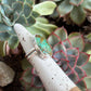 Rising Phoenix Turquoise Ring in size 5.5