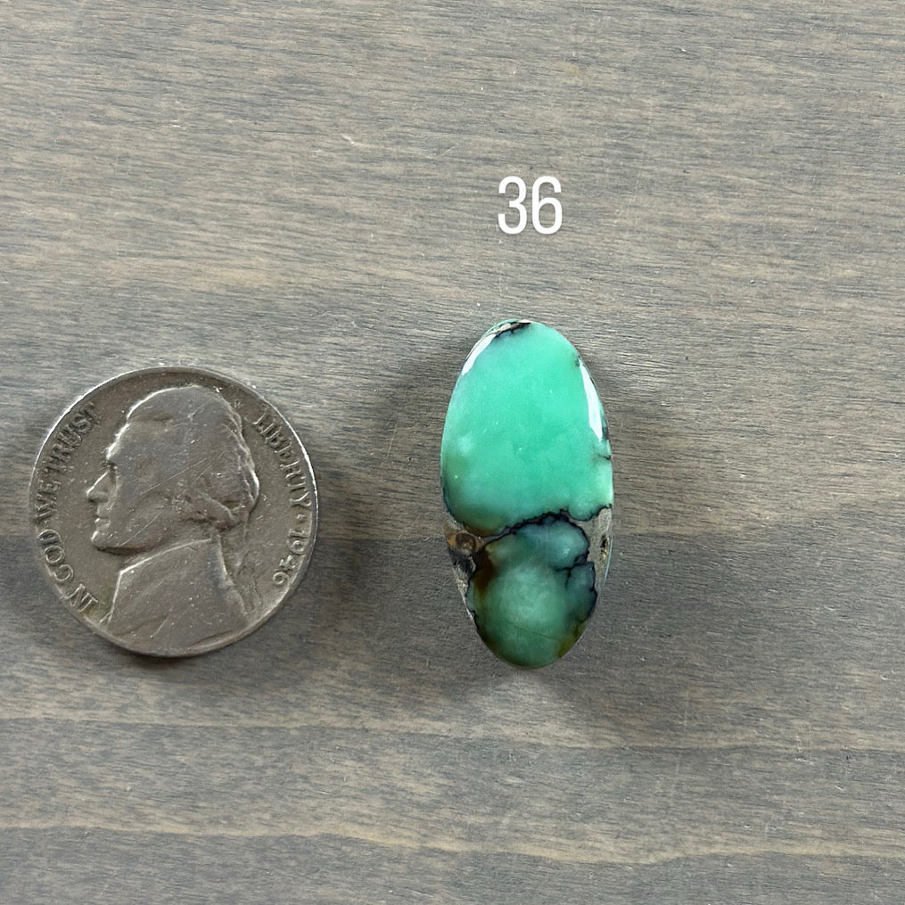 Desert Bloom Variscite Cabochon 36