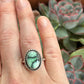 Desert Bloom Variscite Ring in size 7.5 to 7.75