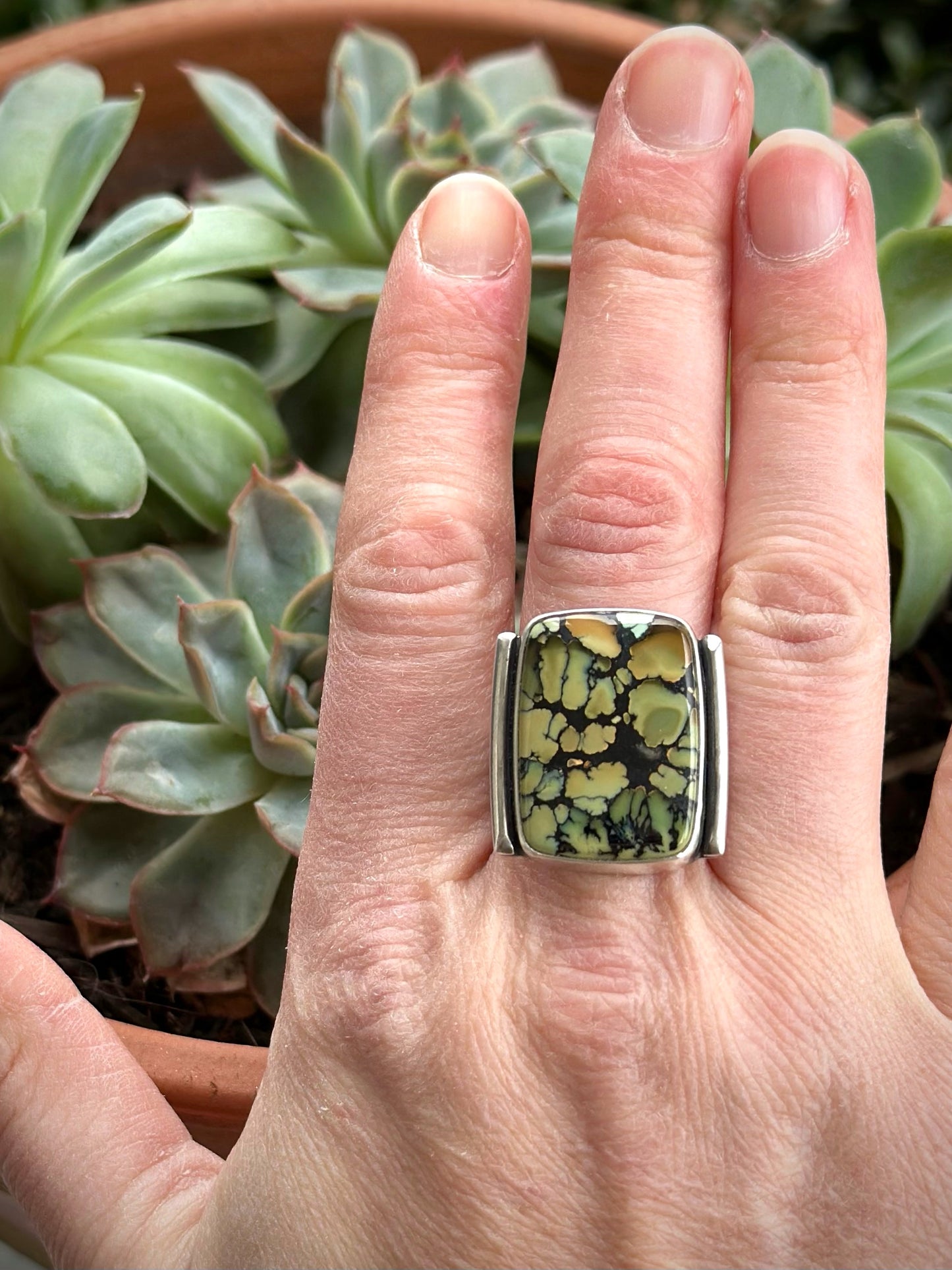 Nautilus Variscite Ring size 9.75