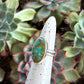 Rising Phoenix Turquoise Ring in size 5.5