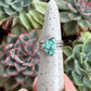 Calypso Variscite Ring size 6.25