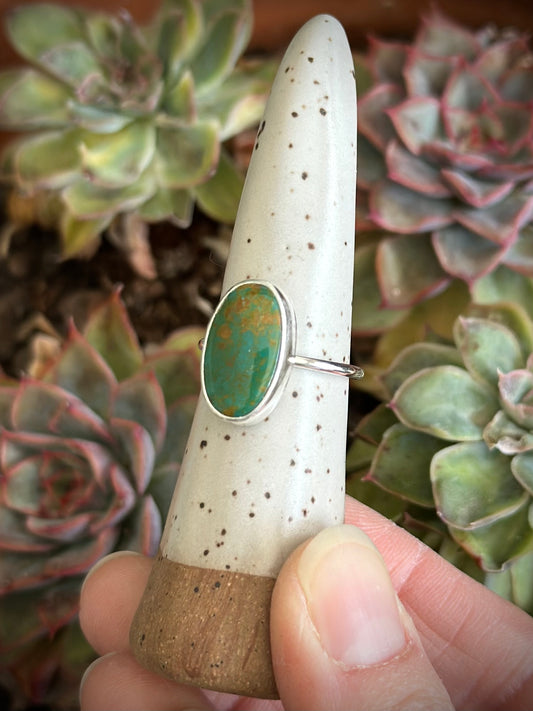 Evans Turquoise Ring in size 8