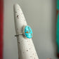 Sierra Nevada Turquoise Ring Twist Band size 6.5