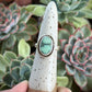Desert Bloom Variscite Shadowbox Ring in size 6.5