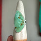 Fox Turquoise Ring size 10.75