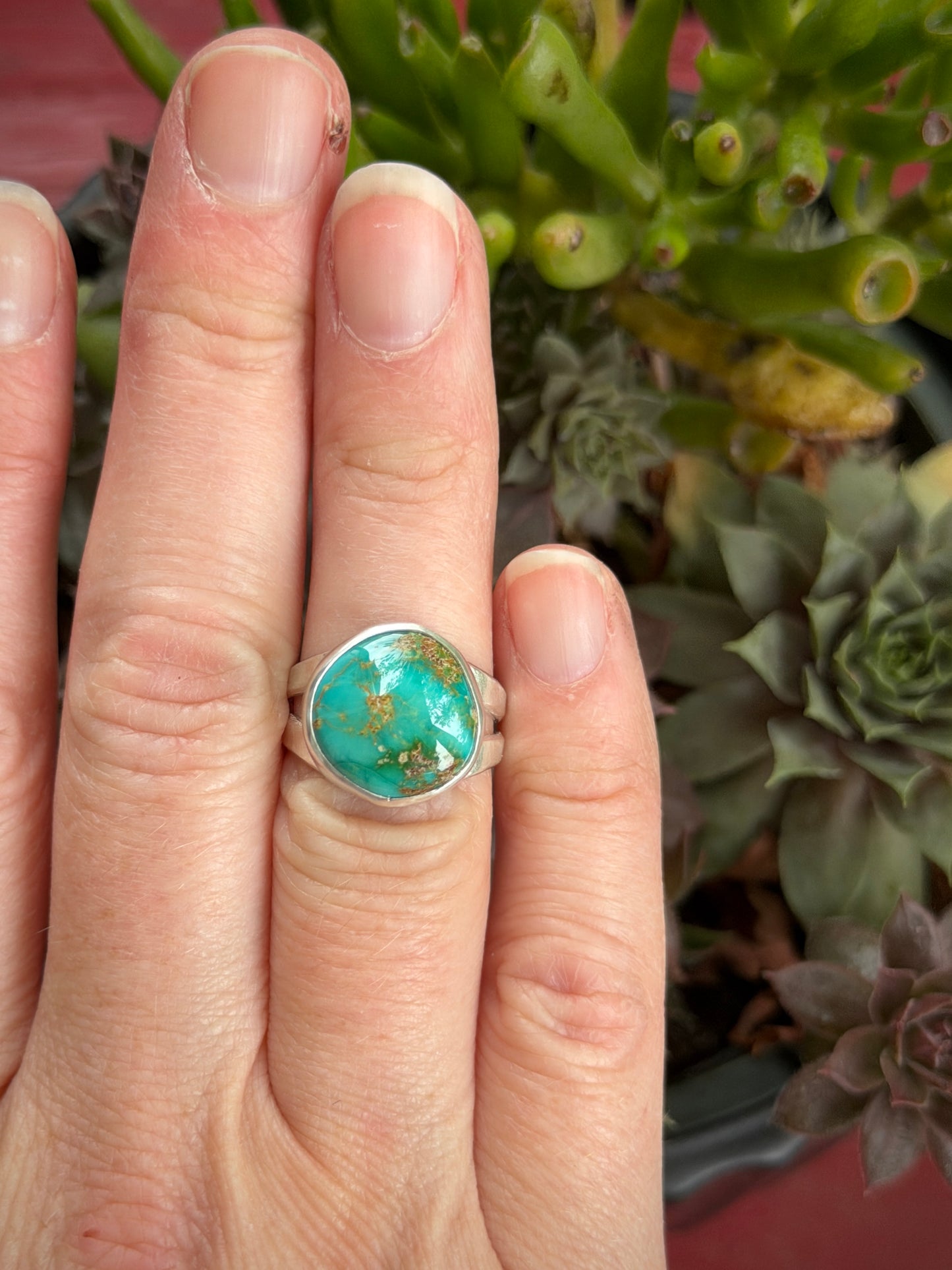 Emerald Valley Turquoise Ring size 6