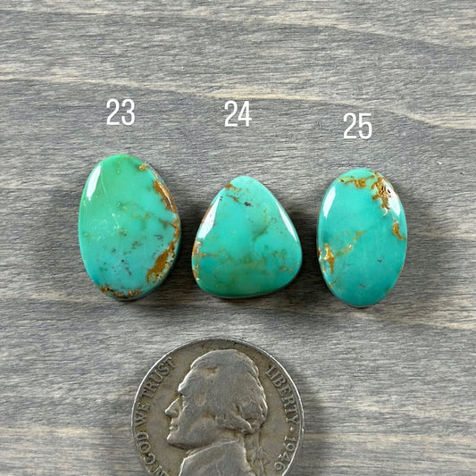 Hardy Pit Turquoise Cabochon 24