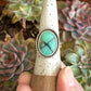 Desert Bloom Variscite Twist Ring in size 8.75