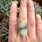 Ivory Desert Bloom Variscite Ring size 8.5 to 8.75