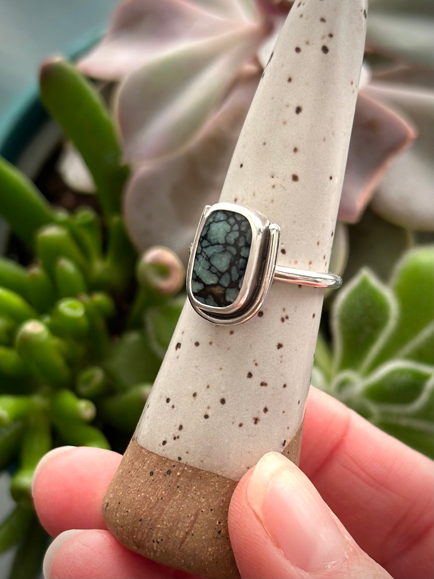 Desert Bloom Variscite Framed Ring in size 7.75