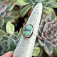Desert Bloom Variscite Shadowbox Ring in size 6.5