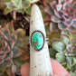 Emerald Valley Turquoise Twist Ring in size 6