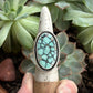 Desert Bloom Variscite Shadowbox Ring in size 9