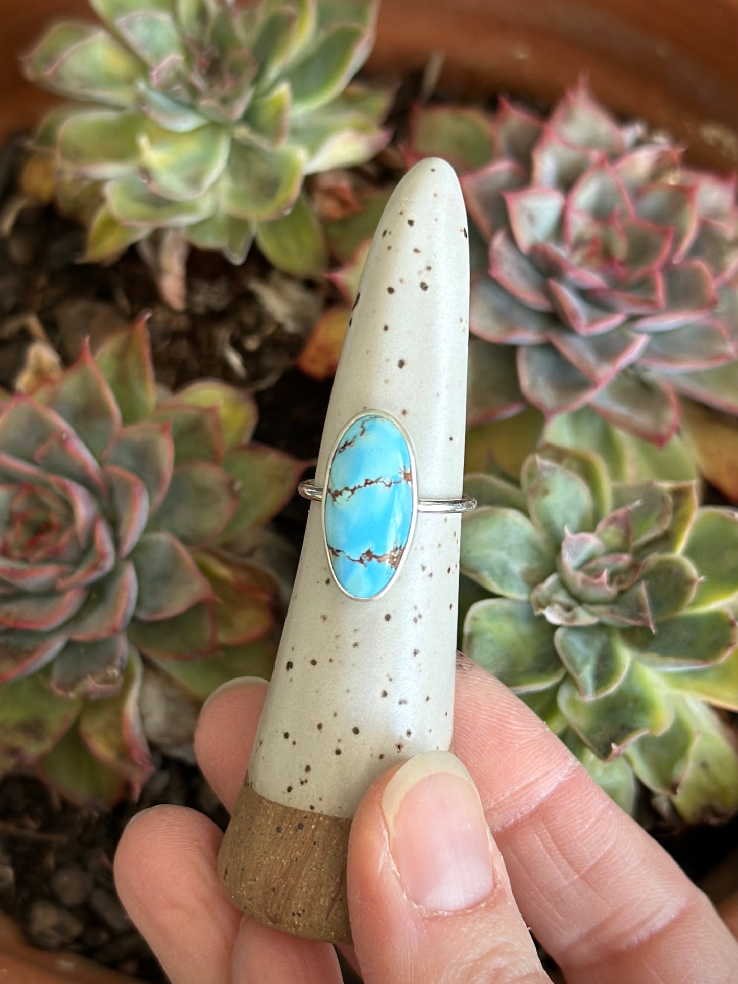 Golden Hills Turquoise Ring in size 6.5