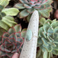 Calypso Variscite Ring in size 6.25