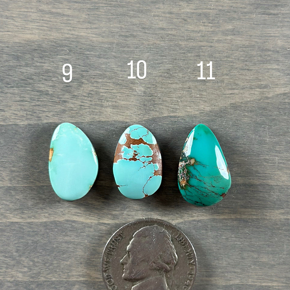 Custom for sagesilver