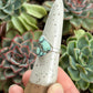 Lost Canyon Variscite Ring size 7.75 to 8
