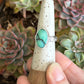 Desert Bloom Variscite Spiral Flower Band Ring in size 7.75