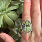 Nautilus Variscite Ring size 8.5